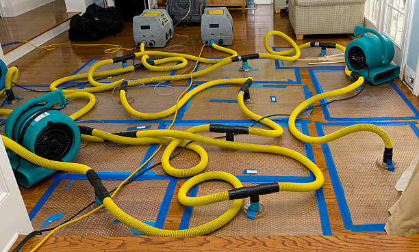 Professional Basement Flood Cleanup technician working in Rio Vista, TX